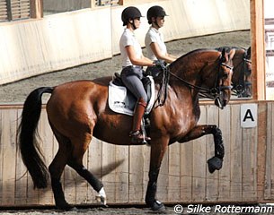 Jessica Michel schooling her star horse Riwera at Haras de Hus in Petit Mars, France :: Photo © Silke Rottermann