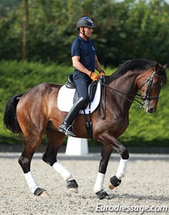 Steffen Peters and Legolas