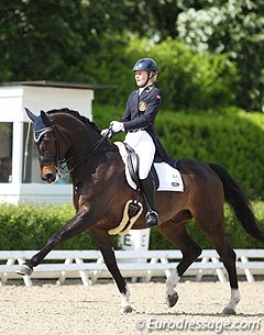 Astrid Westberg Rikheim on Cartier at the 2014 CDI Roosendaal :: Photo © Astrid Appels