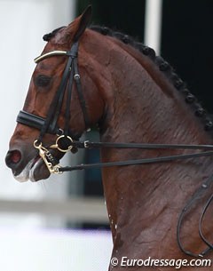 Is it possible to judge if a horse is a happy athlete?