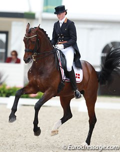 Danish Maria Anita Andersen tried to get the most out of her grumpy Oldenburg mare Loxana (by Diamond Hit) who had a sour expression in the traversal movements, pirouettes and one tempi, even though the quality is certainly there