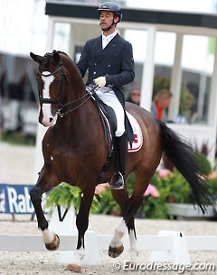 Danish Ulrik Molgaard on Michigan. This dark bay Danish gelding was one of three Michellino offspring competing in the CDIO Grand Prix