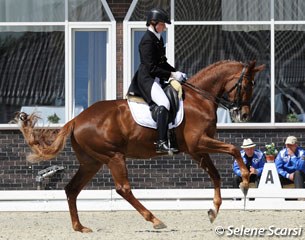 Anastasiya Dudkova on her second horse Dansvil