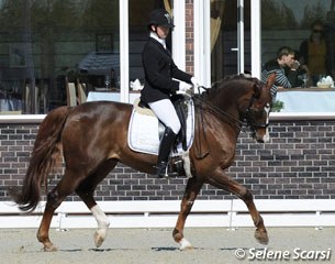 Belarusian Aliaksandra Sazonava on the 21-year old former internationally competed Grand Prix horse Dombai