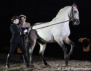 Laurence Sautet and Zeus in a long-rein display