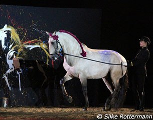 Laurence Sautet, international dressage rider, presents the Lusitano Zeus 