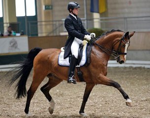 Marc Lingelbach and Rolex at the 2014 CDI Stadl Paura :: Photo © Fotoagentur Dill