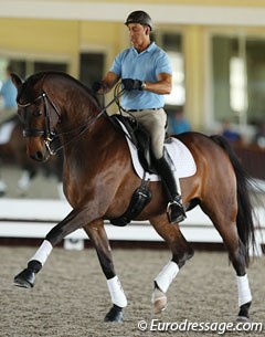 U.S. team trainer Robert Dover riding Shelly Francis' Doktor (by Diamond Hit)