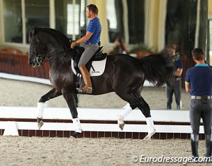 Nicholas Fyffe watching David Marcus train Don Kontes