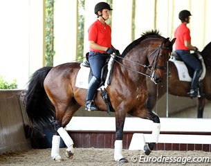 Leslie Morse on her home bred Oldenburg gelding King's Excalibur, who is by her former Grand Prix horse Kingston (by Voltaire) out of a Sion mare