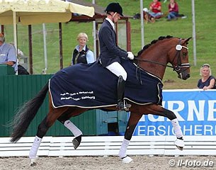 Eike Bewerungen and Nymphenburg's First Ampere win the 3-year old stallion class at the 2014 Hanoverian Young Horse Championships :: Photo © LL-foto