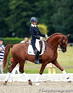 Anne Svanberg warming up Hermes for the 2014 CDI Verden :: Photo © Astrid Appels