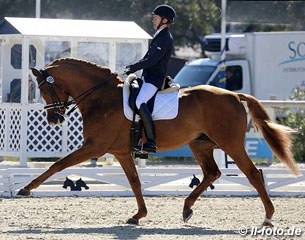 Junior rider Lucas Alecco Roy on Wisdom