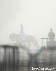 Morning mist in Verden