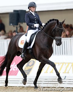 Vai Bruntink on Ebony. This Painted Black offspring is quite heavy in the forequarters and neck but was presented in a very beautiful way, active, in front of the aids and with the nose at or even in front of the vertical