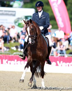 Belgian Carl Cuypers on the lovely Bilan (by Bocelli). The horse spooked upon entering the ring but the test was fantastic with super smooth trot work and good canter. The walk was severely underscored (7.5).