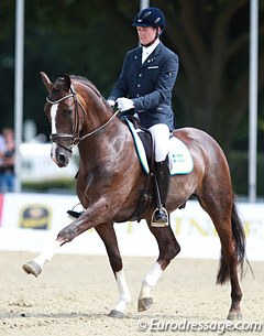 Belgian Carl Cuypers on the German owned Swedish warmblood Bilan (by Bocelli)