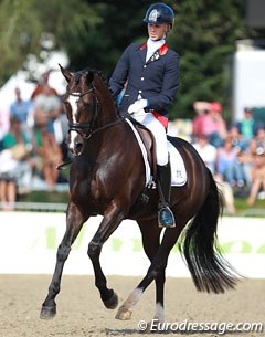 Belgian Tom Franckx on the Dutch bred Dolores van de Kwikaard (by Zucchero x Royal Diamond).