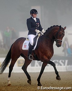 Austrian Ulrike Prunthaller on Quarz, a very powerfully moving Quaterback x Rubinstein Noir, who needed to be more through and steady in the bridle