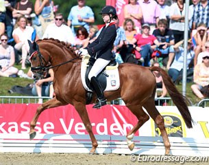 Anja Wilimzig on the Oldenburg licensed stallion Sir Henrich (by Sir Donnerhall x Furst Heinrich). The gorgeous chestnut has those typical Sir Donnerhall legs that are active but move out and not under the body