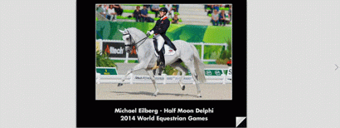 An example of an Extra Large Eurodressage Photo Album