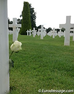 Flower at grave