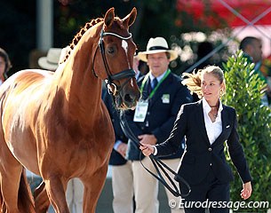 Adelinde Cornelissen and Parzival