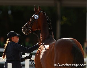 Federica Scolari's Beldonwelt was also a handful