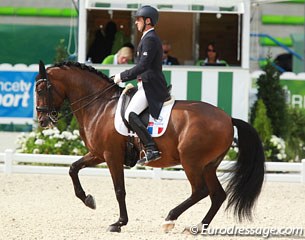 Top French rider was Arnaud Serre on the Lusitano Robinson de la Font