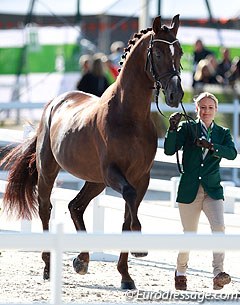 Tanya Seymour with Ramoneur