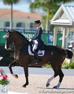 Australian Kelly Layne and Udon P at the 2014 CDIO Wellington :: Photo © Astrid Appels