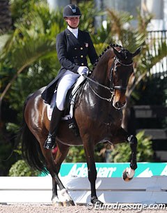 Adrienne Lyle and Wizard in the Grand Prix at the 2014 CDIO Wellington :: Photo © Astrid Appels