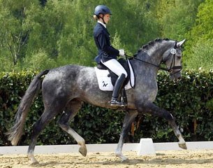 Beatrice Buchwald and Belantis at the 2014 Wipperfurth Bundeschampionate qualifier :: Photo © Marx