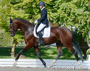 Sandra Hodel and Q Man von Worrenberg at the 2015 Swiss Young Horse Championships :: Photo © Elisabeth Weiland