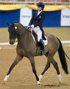Young rider Catherine Chamberlain on the Dutch bred Avesto van Weltevreden (by Gribaldi)