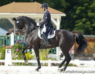 Marc Boblet and Noble Dream at the 2015 CDI Compiegne :: Photo © Astrid Appels