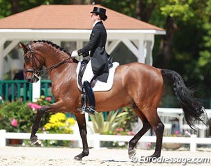 Australian Lyndal Oatley on Sandro Boy (by Sandro Hit x Argentinus)