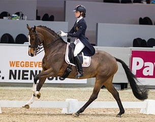 Antonia Arl and Equestricons Ziggy at the 2015 CDI Drachten :: Photo © Digishots