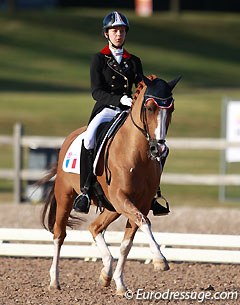 French Lea Bonifay on Tim