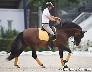 Jose Daniel Martin Dockx schooling Grandioso at the 2015 European Dressage Championships in Aachen :: Photo © Barbara Schnell