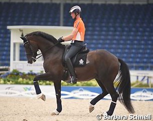 Diederik van Silfhout on Arlando