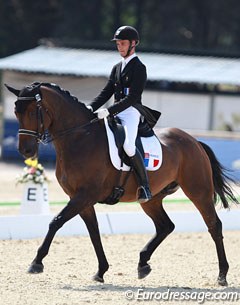 Woodstock de la Guiche at the 2015 European Young Riders Championships :: Photo © Astrid Appels