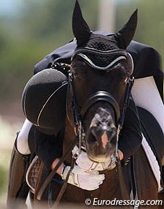 Erin Williams hugs Bolsan B