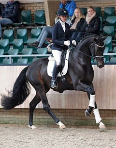 Daily Diamond (by Daily Deal x Furst Heinrich)