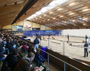 The KWPN stallion pre-selection in full swing at the KWPN headquarters in Ermelo :: Photo courtesy KWPN