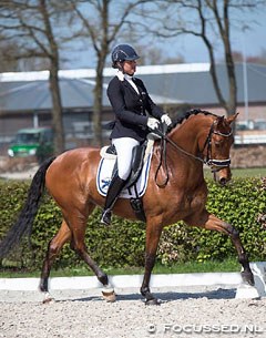 Lotje Schoots and Euripides (by Jazz x Riverman) at the Dutch WCYH selection trial :: Photo © Focussed.nl