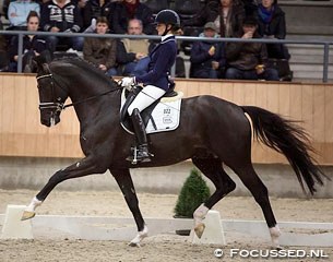 Marieke van der Putten and Toto Jr. at the 2015 KWPN Stallion Competition in Ermelo :: Photo © Focussed.nl