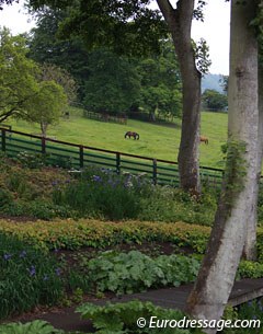 A view on one of the numerous pastures at Mount St. John