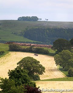 Taking the horses out for a hack