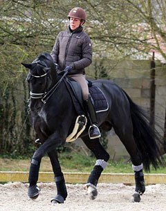 Stephanie Brieussel schooling Swing de Hus